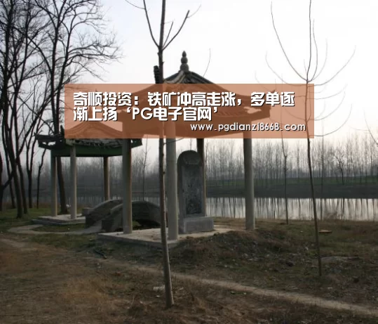 奇顺投资:铁矿冲高走涨,多单逐渐上扬‘PG电子官网’(图3) PG麻将平台
