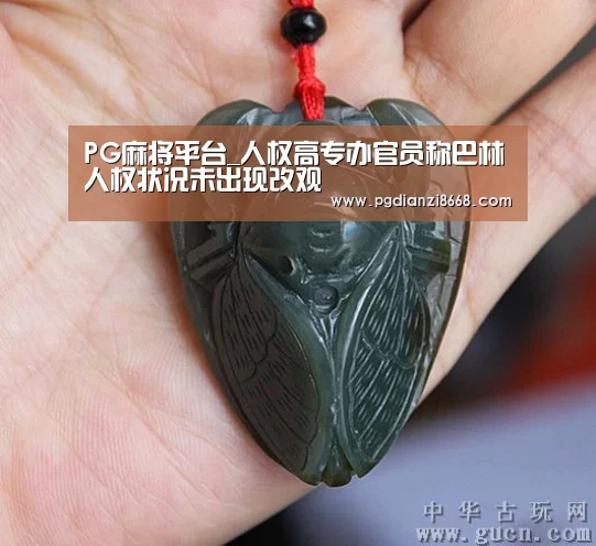 PG麻将平台_人权高专办官员称巴林人权状况未出现改观(图1) PG最新地址