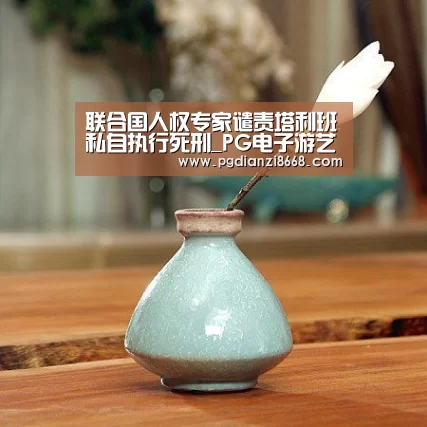 联合国人权专家谴责塔利班私自执行死刑_PG电子游艺(图3) PG麻将平台