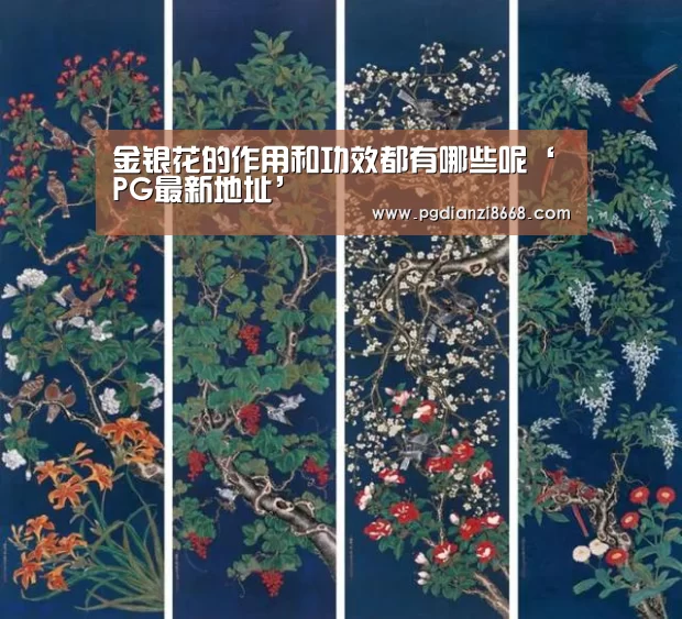 金银花的作用和功效都有哪些呢‘PG最新地址’(图3) PG麻将平台