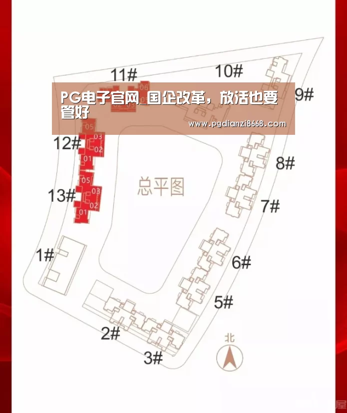 PG电子官网_国企改革,放活也要管好(图3) PG电子官网