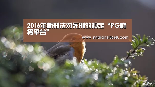 PG电子官网