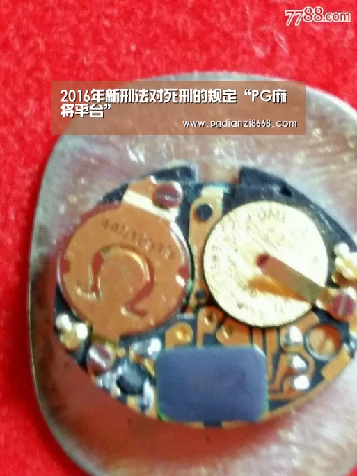 PG电子游艺